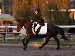 IMG_8141_web